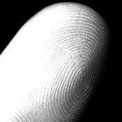 fingerprint-impronte-digitali