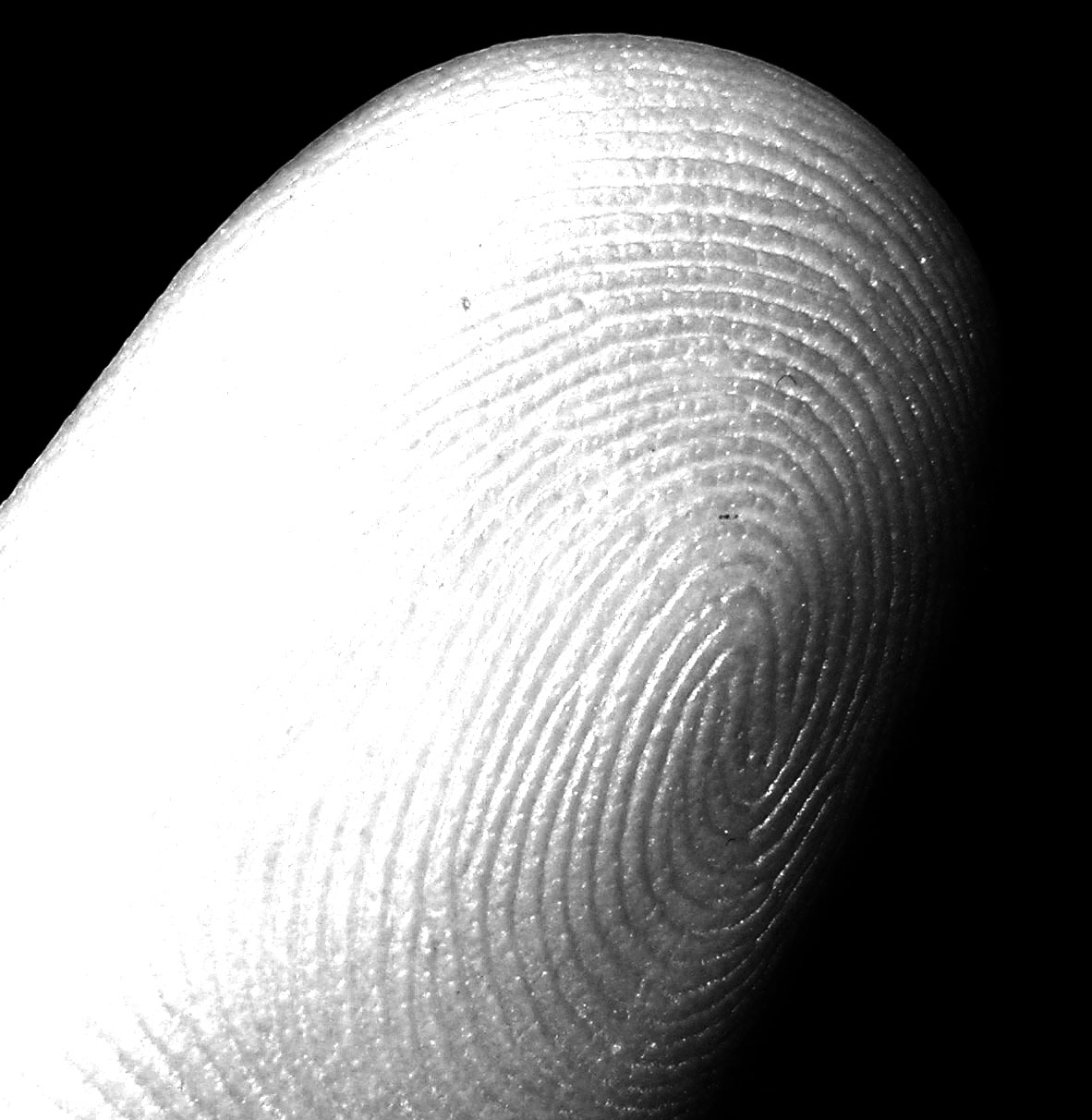 fingerprint-impronte-digitali